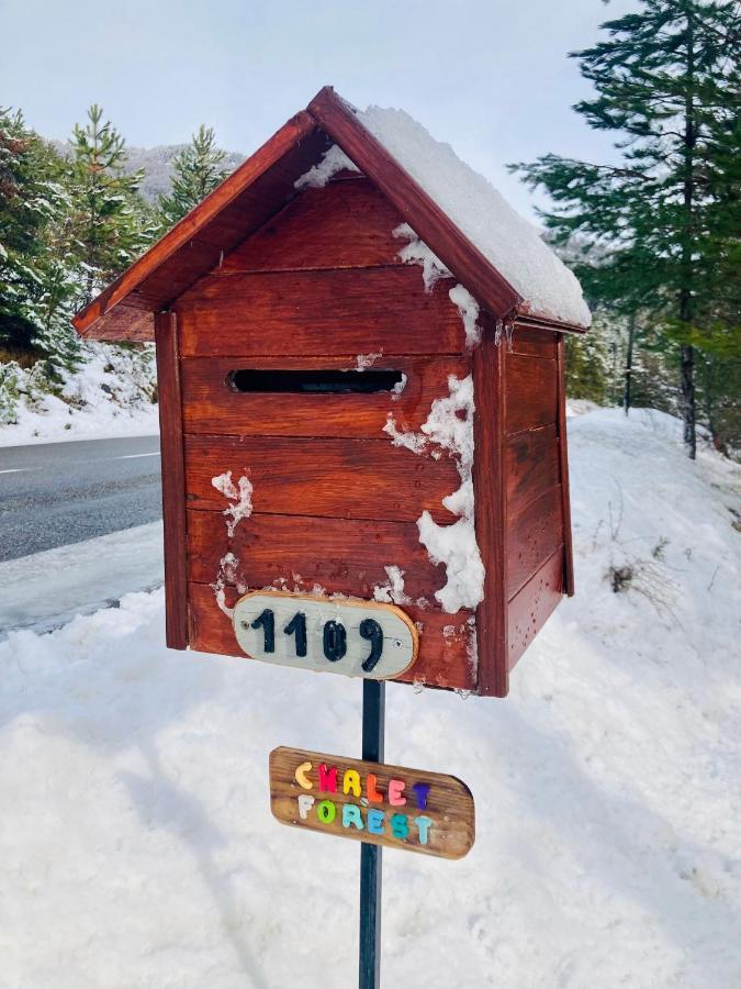 Chalet Forest Saint-Apollinaire  Εξωτερικό φωτογραφία